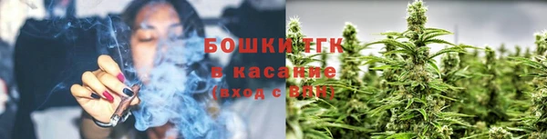 индика Осинники
