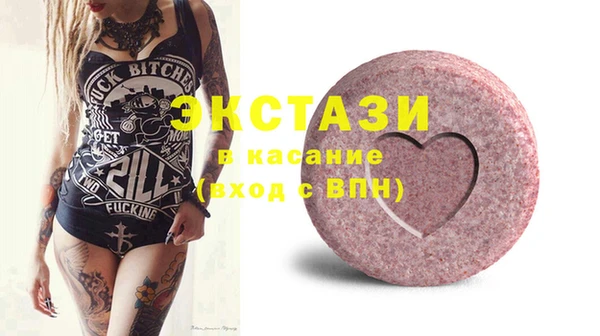 индика Осинники