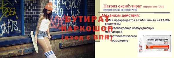 индика Осинники