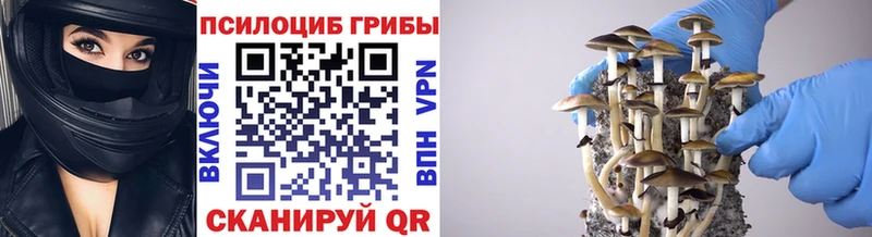 Псилоцибиновые грибы мухоморы Александровск